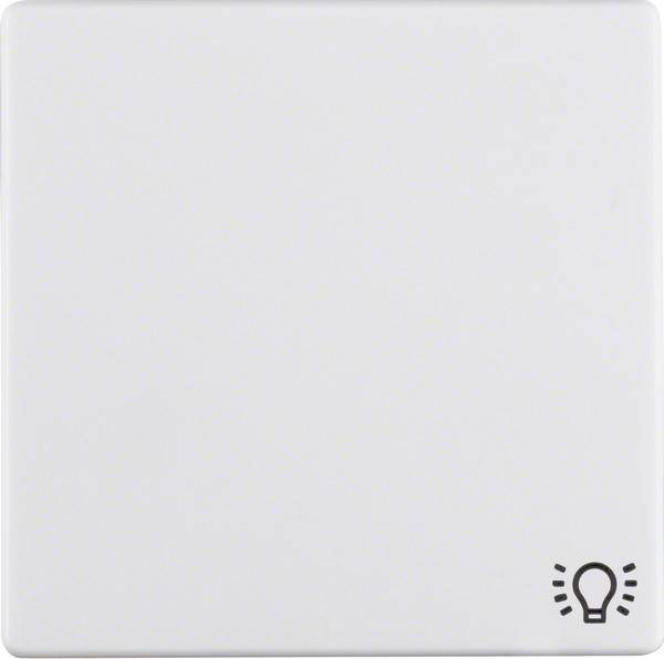 Berker Wippe 16206049