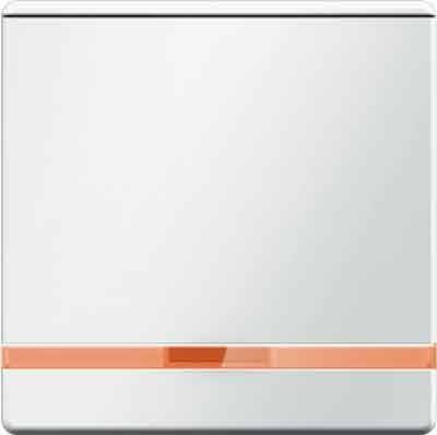 Berker Wippe 16966089