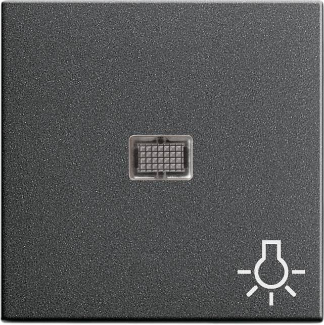 Gira Wippe anth 063028