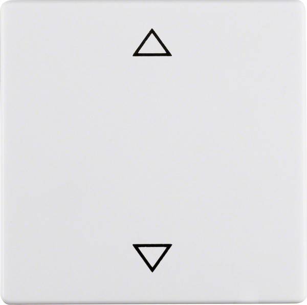 Berker Wippe 16206079