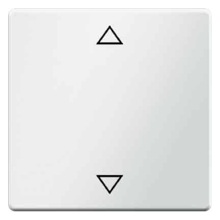 Berker Wippe 16206079