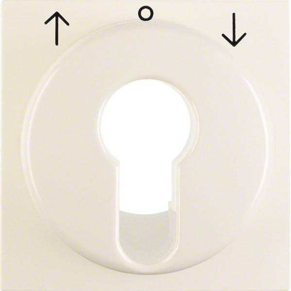 Berker Zentralstück ws/gl 15068982