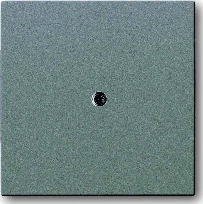 Busch-Jaeger Zentralscheibe meteor-gr 1745-803