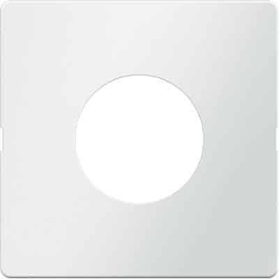 Berker Zentralstück 11246089