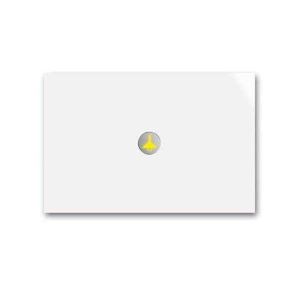 Busch-Jaeger Bedienelement 1fach 6340-24G-101