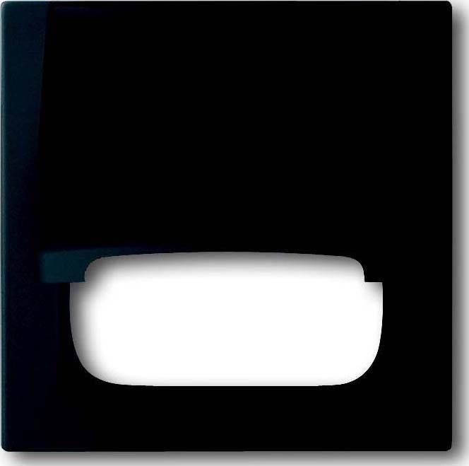 Busch-Jaeger Zentralscheibe sw mt 1746-775