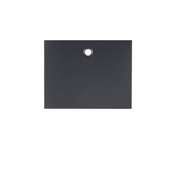 Berker Zentralstück 11477006