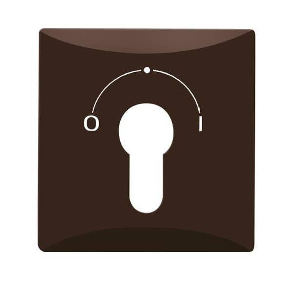 Busch-Jaeger Zentralscheibe braun 2155 SLPZ-31