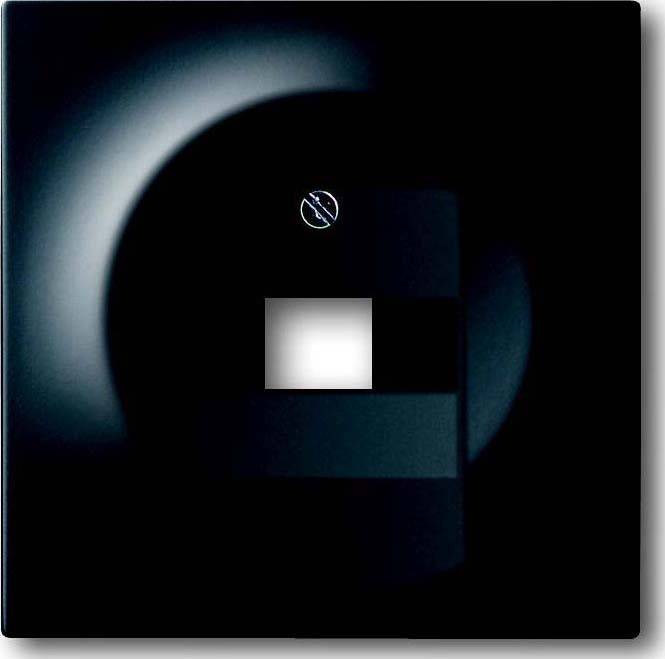 Busch-Jaeger Zentralscheibe sw matt 1803-775