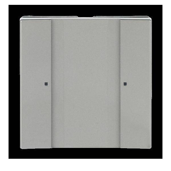 Busch-Jaeger Tastsensor 1/2fach 6125/02-866