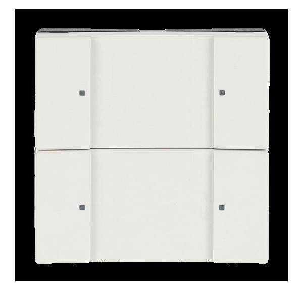 Busch-Jaeger Tastsensor 2/4fach 6126/02-82