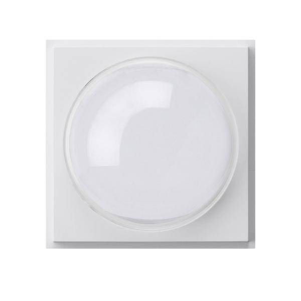 Gira Abdeckung rws 141566