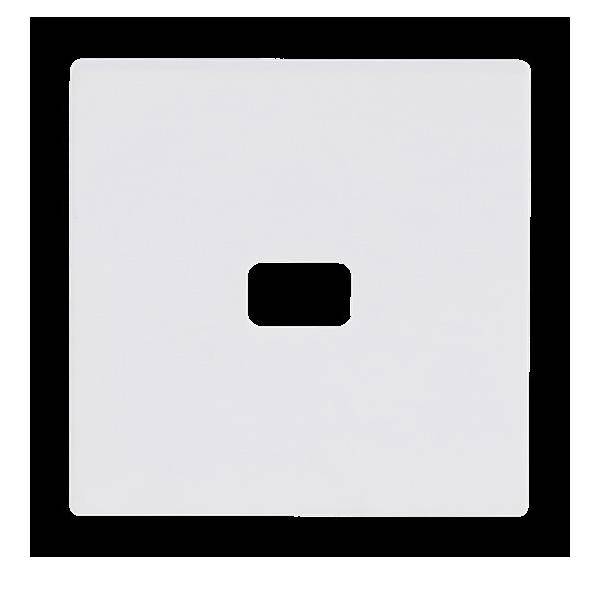 Busch-Jaeger Wippe stws mt 1720-884