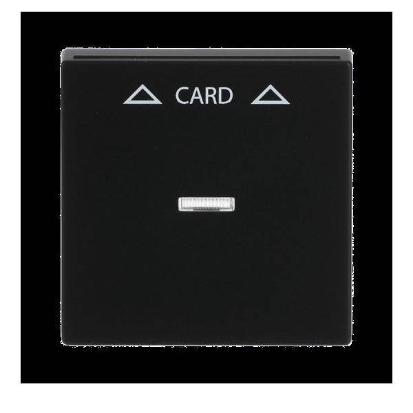 Busch-Jaeger Zentralscheibe sw mt 1792-885