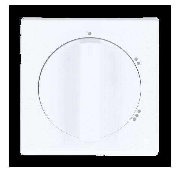 Busch-Jaeger Zentralscheibe stws mt 2542 DR/02-884