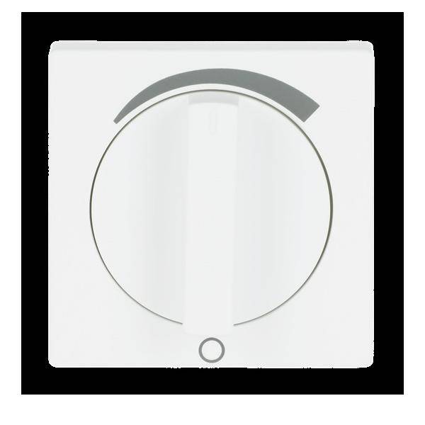 Busch-Jaeger Zentralscheibe stws mt 1740 DR/03-884