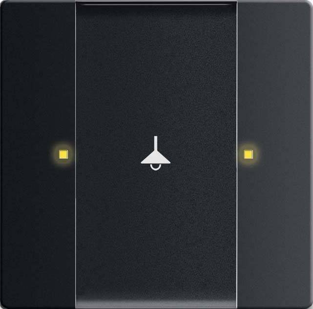 Busch-Jaeger Bedienelement 1/2-fach 6125/02-885-500