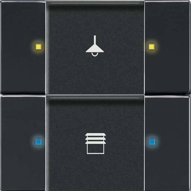 Busch-Jaeger Bedienelement 2/4-fach 6126/02-885-500