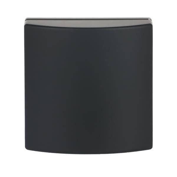 Busch-Jaeger Zentralscheibe sw mt 1746-885