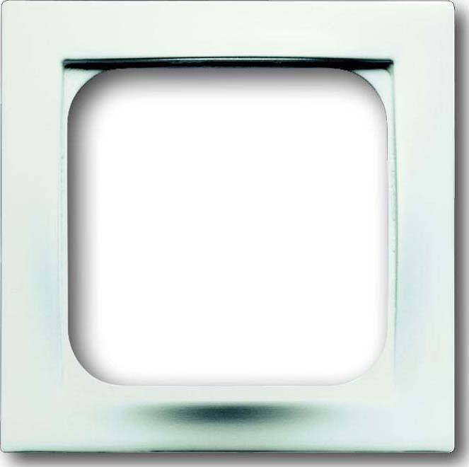 Busch-Jaeger Zentralscheibe stws 1746/10-774