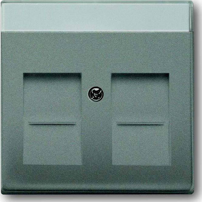 Busch-Jaeger Zentralscheibe meteor/gr 1800-803