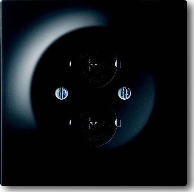 Busch-Jaeger Zentralscheibe sw mt 1751-775