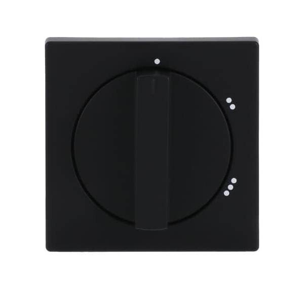 Busch-Jaeger Zentralscheibe sw mt 2542 DR/02-885