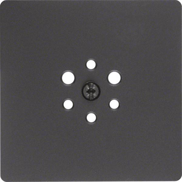 Berker Zentralplatte anth 14741606