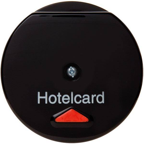 Berker Hotelcardschalter sw 164165