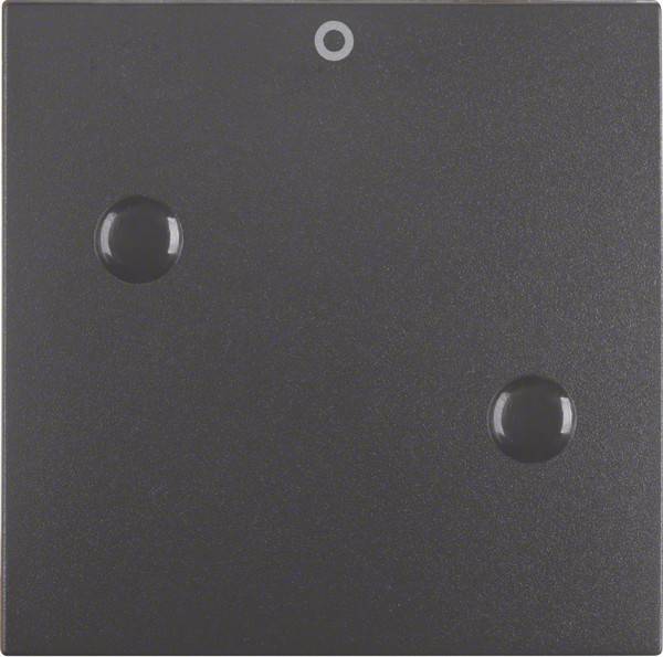 Berker Wippe anschraubbar 15731606