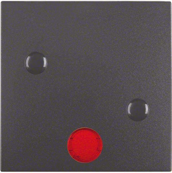 Berker Wippe anschraubbar 15721606