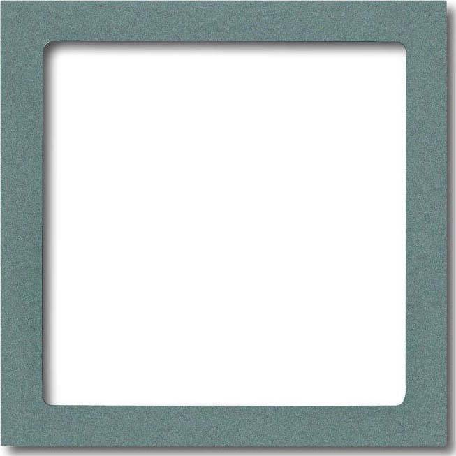 Busch-Jaeger Zentralscheibe meteor/gr 1716-803