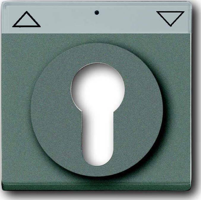 Busch-Jaeger Zentralscheibe meteor/gr 1755 SL/PZ-803-101