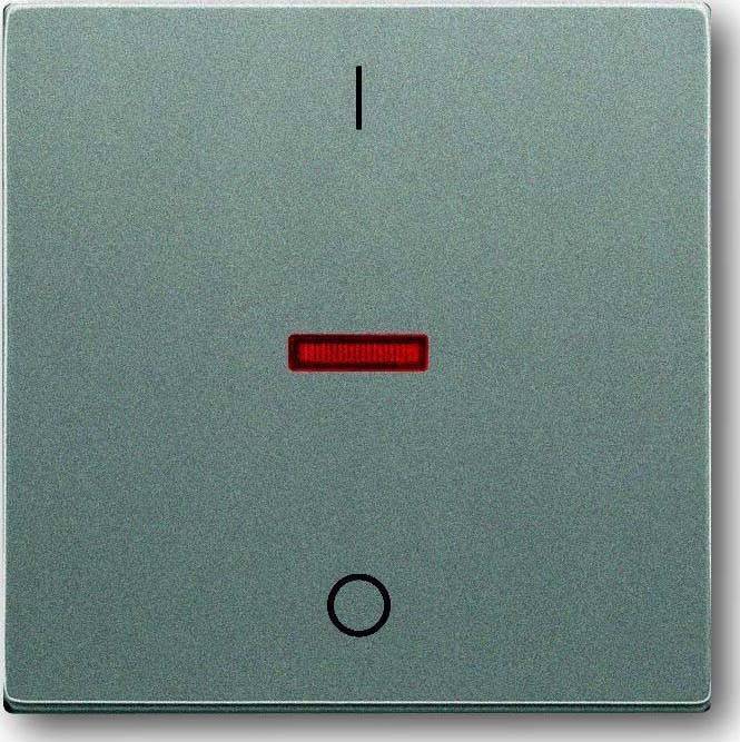 Busch-Jaeger Kontroll-Wippe meteor/gr 1788-803