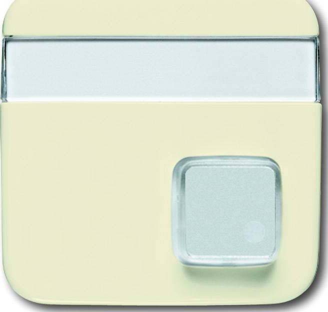 Busch-Jaeger Zentralscheibe 1571 CN-212