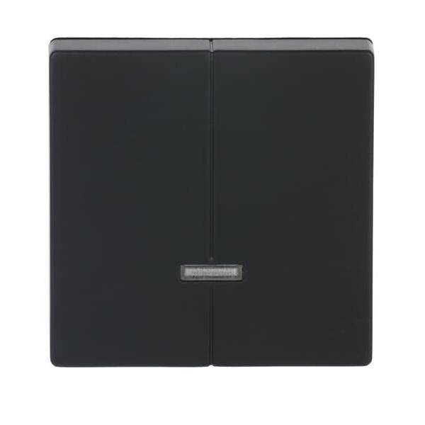 Busch-Jaeger Bedienelement 6545-885