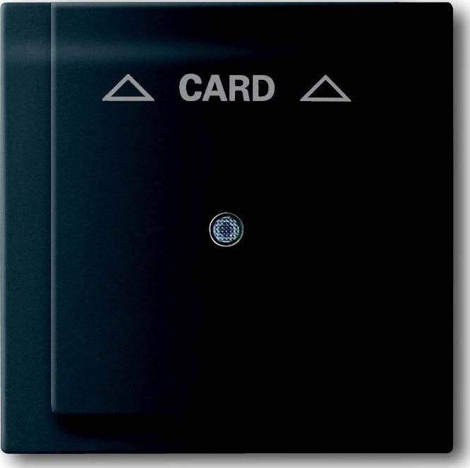 Busch-Jaeger Zentralscheibe sw mt 1792-775