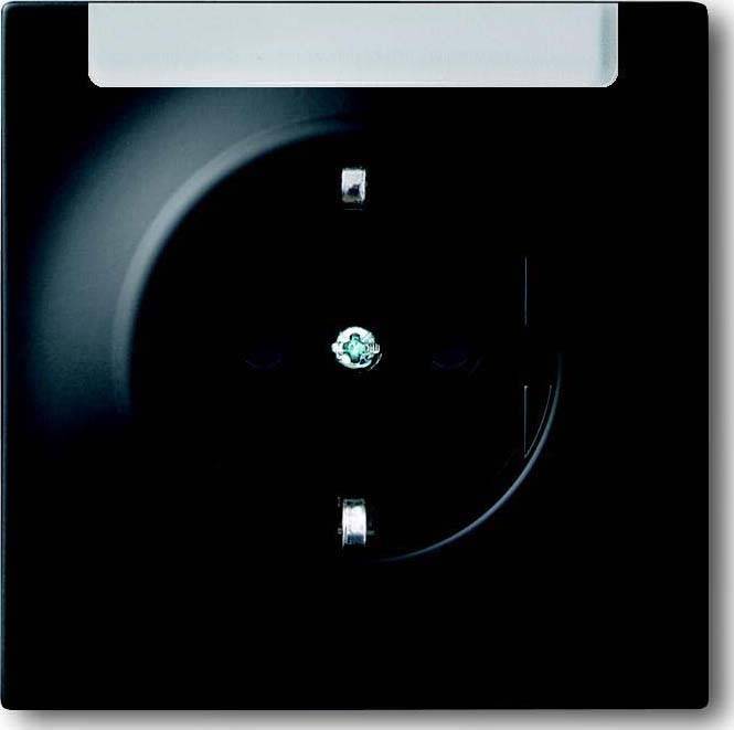 Busch-Jaeger Steckdosen-Einsatz 20 EUN-775