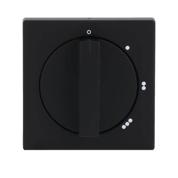 Busch-Jaeger Zentralscheibe sw mt 2542 DR/01-885