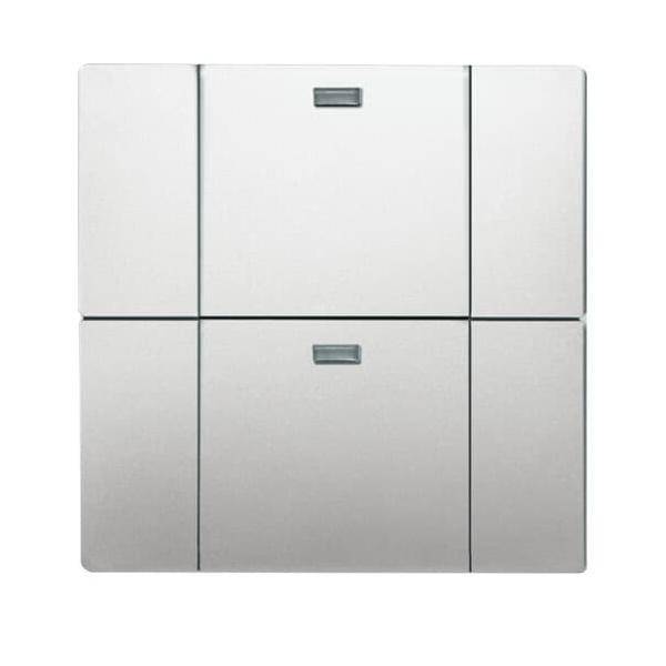 Busch-Jaeger Bedienelement 2-fach 6732-866