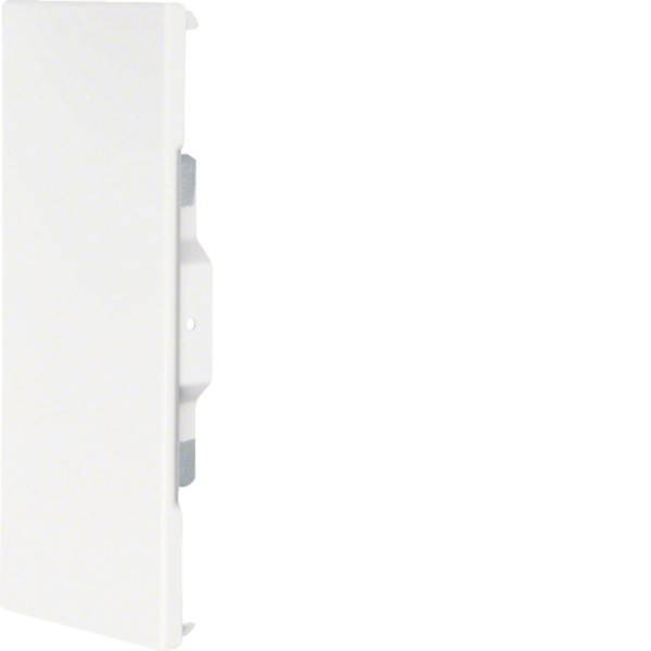 Tehalit Endplatte BRS 852106B rws