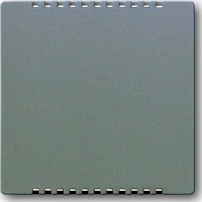 Busch-Jaeger Zentralscheibe meteor/gr 6541-803