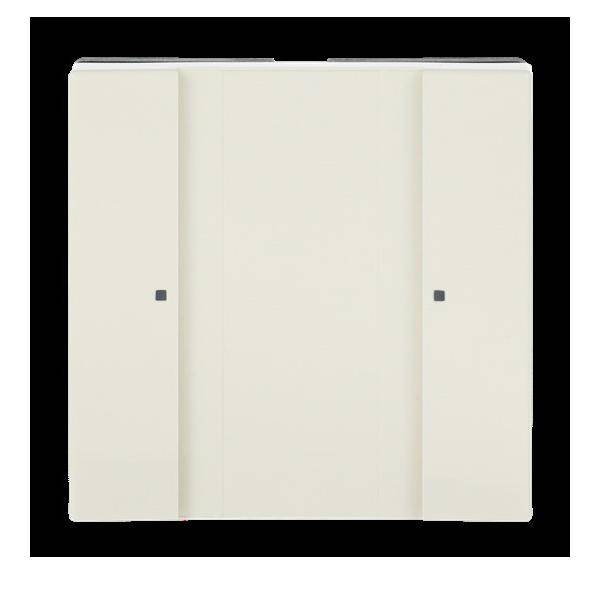 Busch-Jaeger Tastsensor 1/2fach 6125/02-82