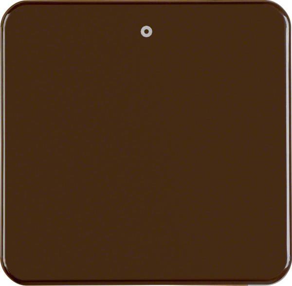 Berker Wippe br/gl 155111