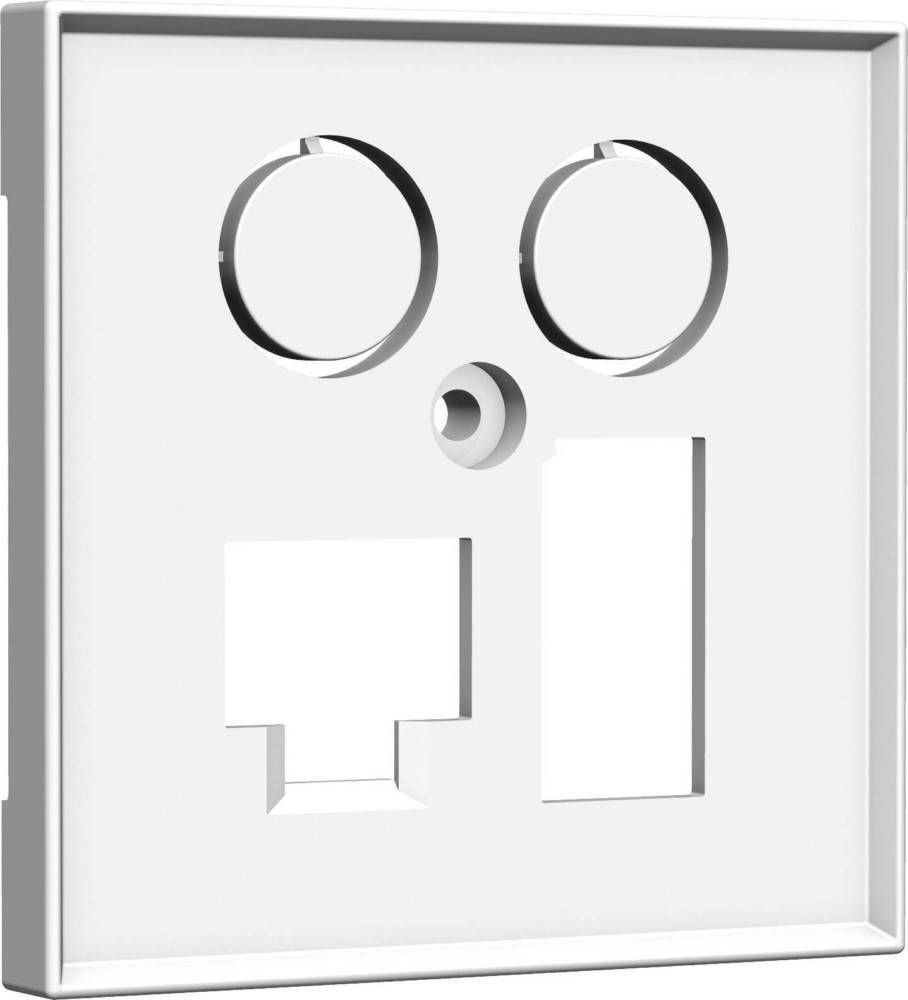 Homeway Zentralplatte TV+LAN/TAE HW-ZLTVWG55V1