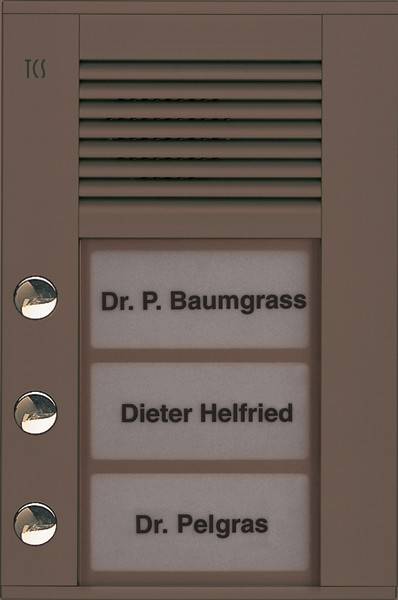 TCS Tür Control Audioaußenstation1-reihig PDS03-EB/04