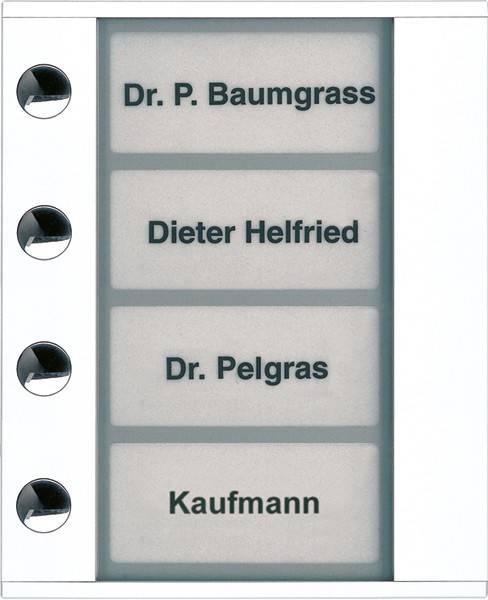 TCS Tür Control Audioaußenstation 1-reihig PDT04-WS/04