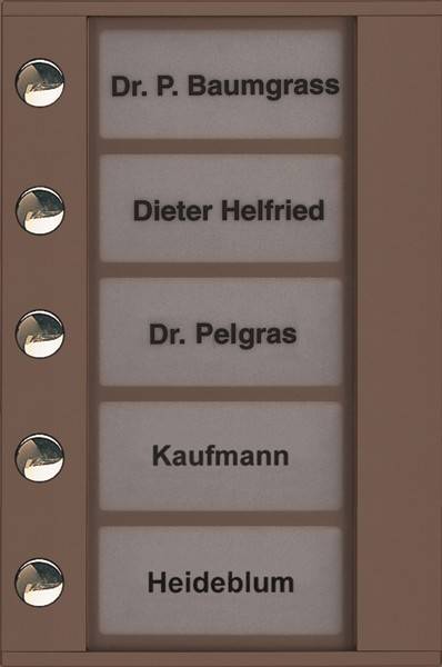 TCS Tür Control Audioaußenstation 1-reihig PDT05-EB/04