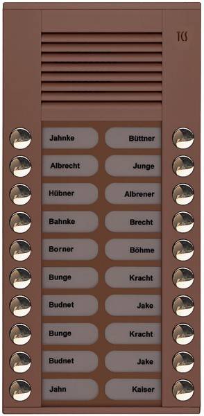 TCS Tür Control Audioaußenstation 2-reihig PES20-EB/04