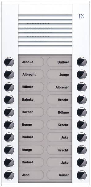TCS Tür Control Audioaußenstation 2-reihig PES20-WS/04